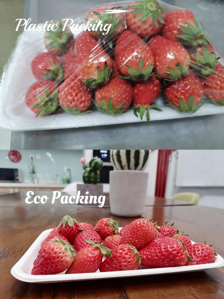 an image about tabla comparativa de la bandeja de fruta de caña de azúcar y la de plástico en el supermercado