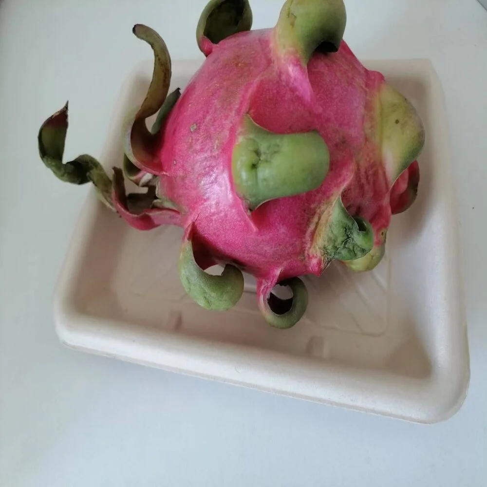 Imagen de una bandeja de bagazo, capaz de sostener frutas pesadas como la fruta del dragón. La bandeja es resistente y está fabricada con materiales ecológicos, lo que contribuye a reducir los residuos y fomentar la sostenibilidad.
