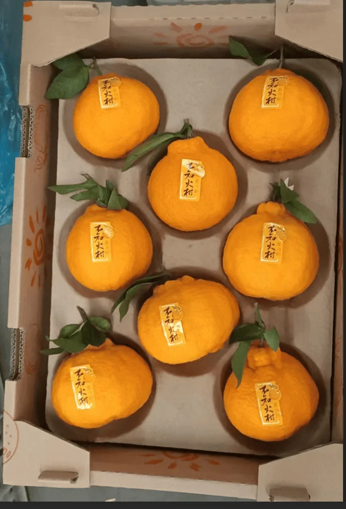 Envase de pulpa de papel moldeado fabricado con pulpa de caña de azúcar y pulpa de bambú. Bandeja de fruta de alta calidad, apta para congelar, biodegradable, compostable, inodora, reciclable, antiadherente para alimentos. Presenta un diseño tridimensional de costillas reforzadas y un fondo engrosado resistente. Larga vida útil, resistente a la deformación.