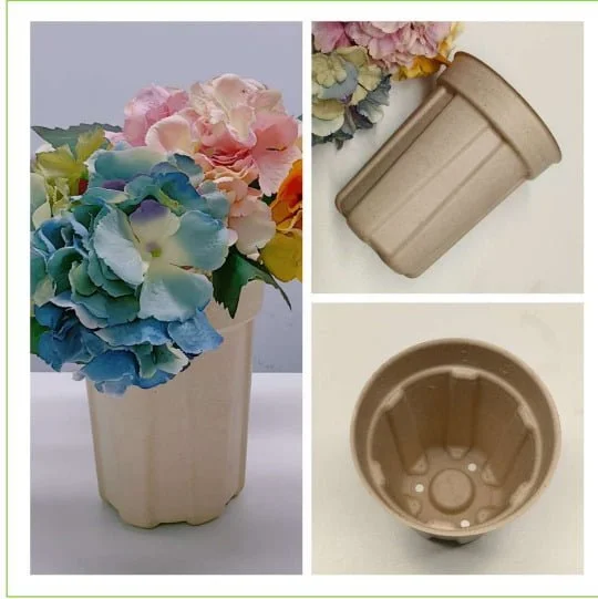 Maceteros biodegradables fabricados a partir de pulpa moldeada, verdes, ecológicos y biodegradables.