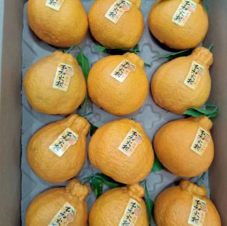 Paper pulp packaging: This fruit tray is made from natural bamboo pulp, in its natural color. We offer various sizes suitable for environmentally friendly cushion packaging for different fresh fruits. Providing you with a one-stop biodegradable packaging solution.